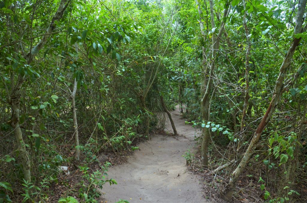 Trilha Municipal - Iguaba Grande