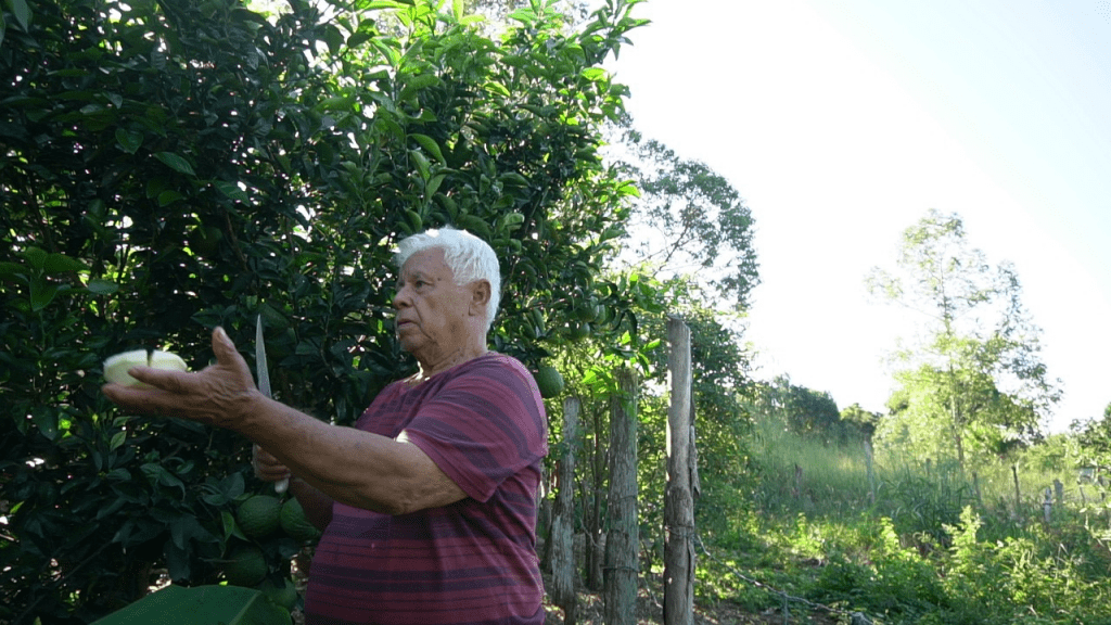 Agricultura Familiar em Iguaba Grande