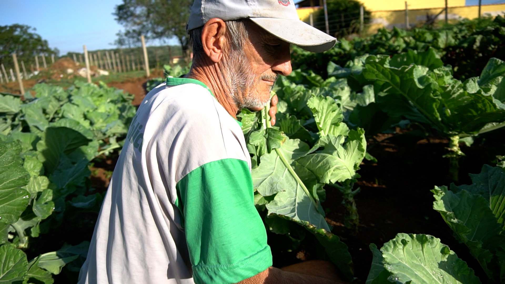 produtores rurais